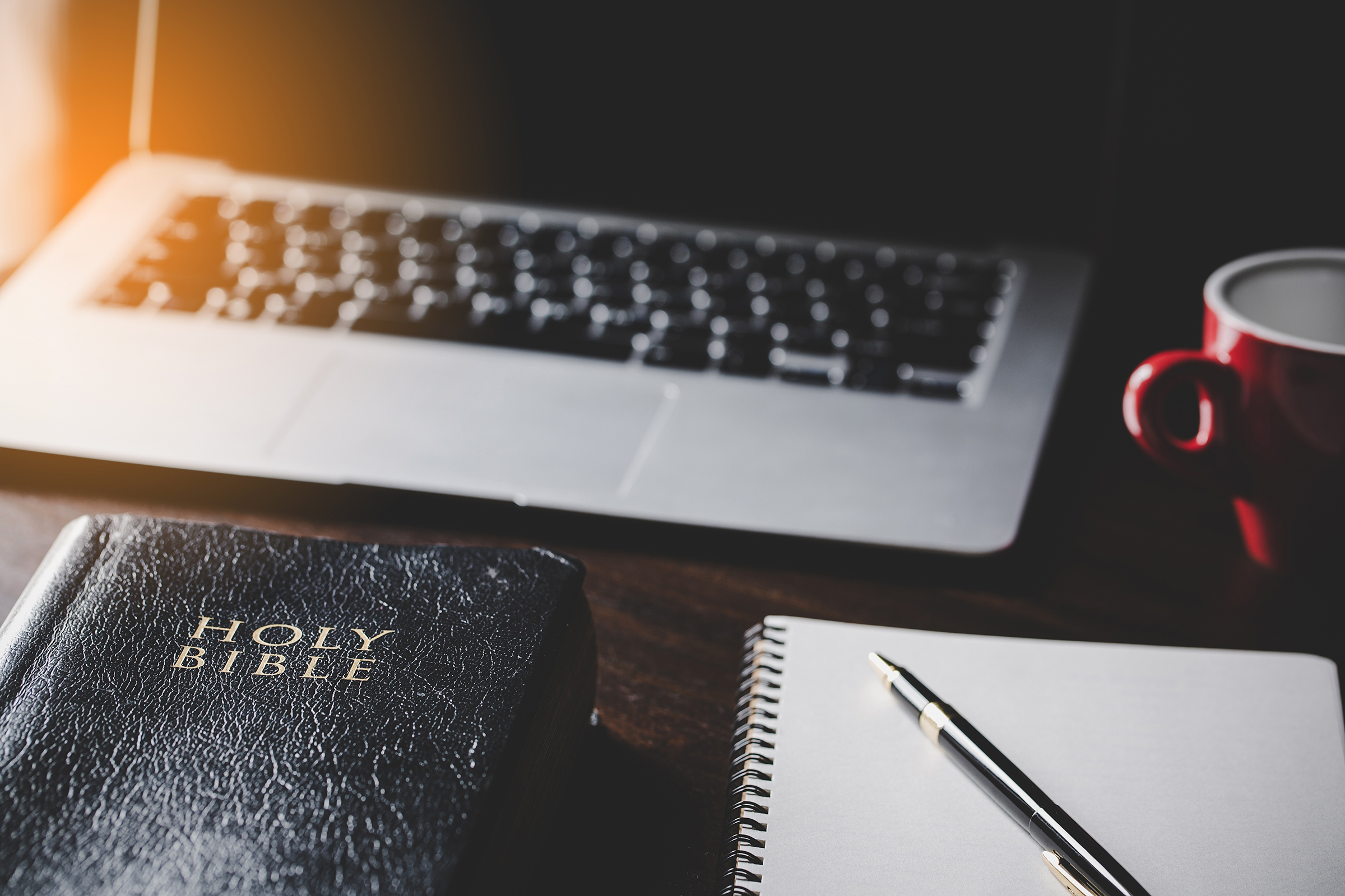 Study aid from Logos, MBCB now available for bivo pastors -